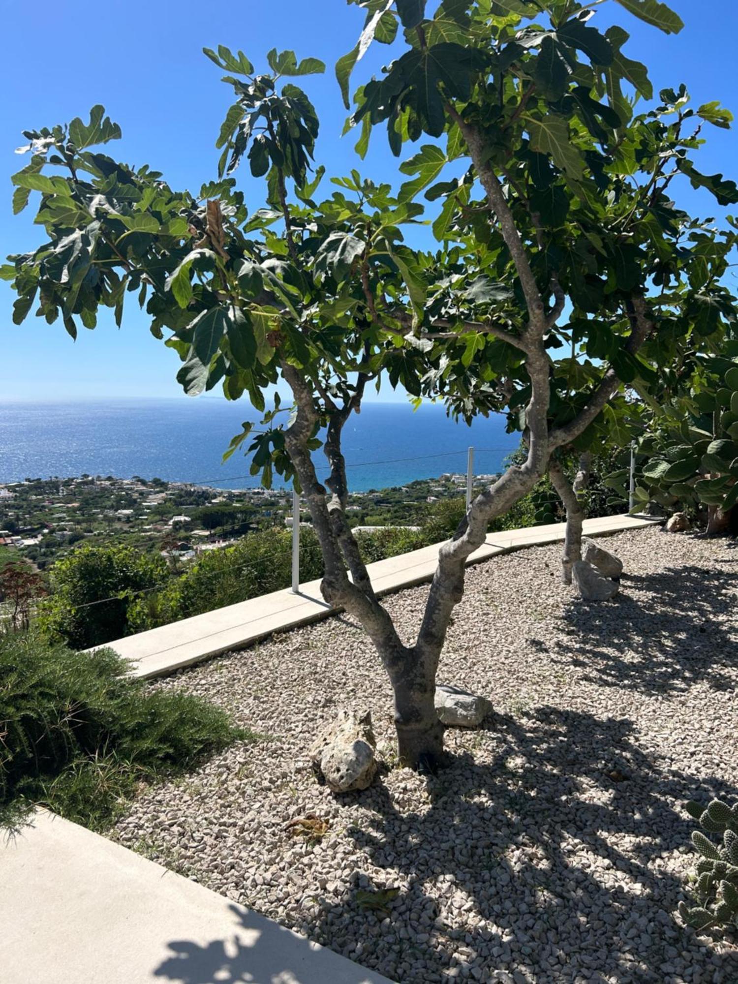 Villa Inarime Isquia Exterior foto
